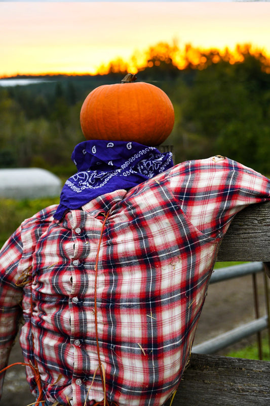 The Spooktacular Importance of Quality Material for Halloween Tees