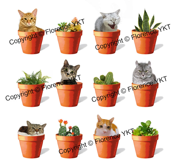 Cats and House Plants Unisex Heavy Cotton Tee