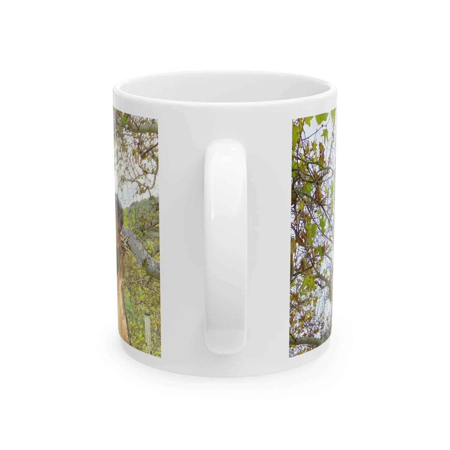 Squirrels Season Greetings Mug