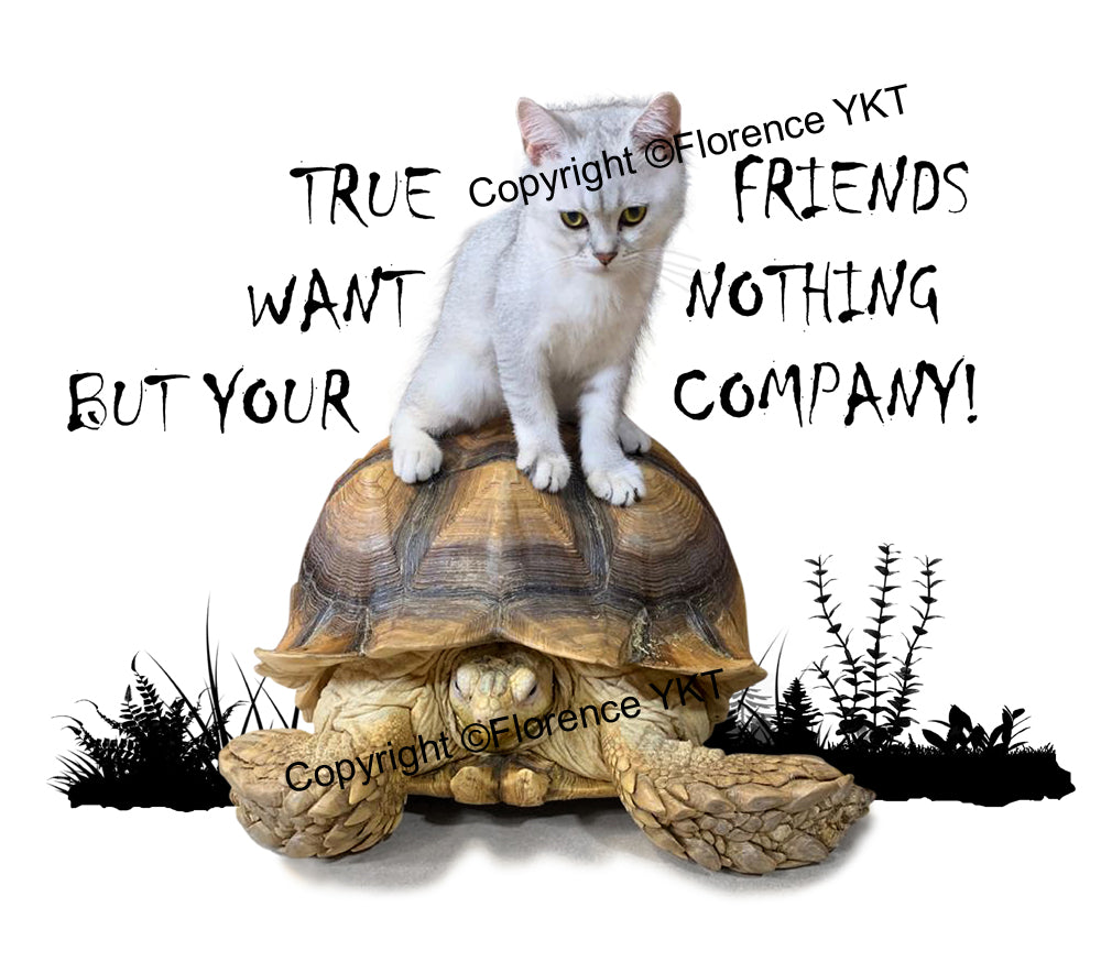 Cat & Turtle True Friends Mug