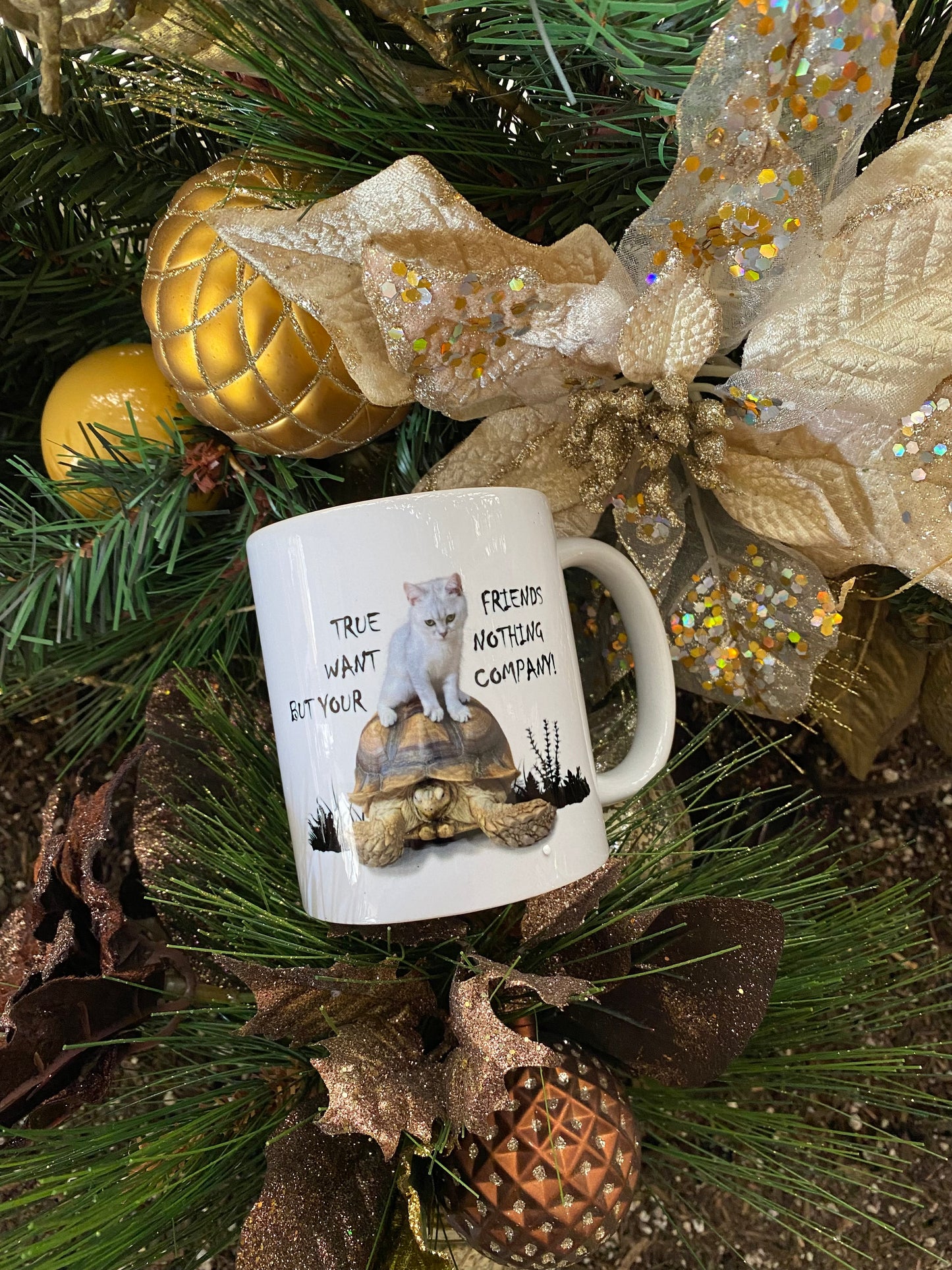 Cat & Turtle True Friends Mug